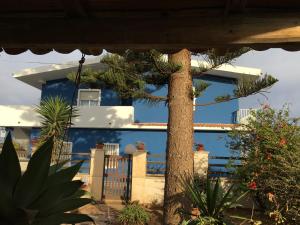 a pine tree in front of a blue building at Casa vacanze Anticaglie in Punta Secca