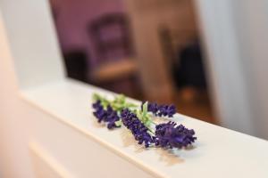 Fotografie z fotogalerie ubytování B&B Villa Sophie v destinaci Assisi