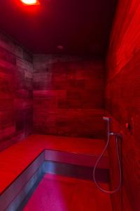 ein rotes Badezimmer mit Badewanne und Dusche in der Unterkunft Hotel Le Palme in Dormelletto