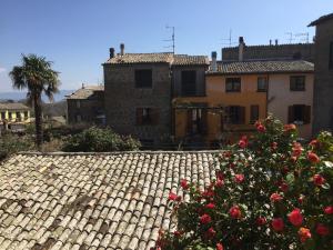 une route en briques avec une brousse de roses devant une maison dans l'établissement La residenza dell'Artista, à Bagnoregio