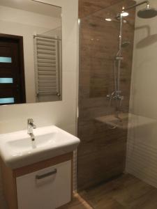 uma casa de banho com um lavatório e um chuveiro em Apartamenty Pisz em Pisz