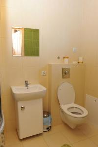 La salle de bains est pourvue de toilettes et d'un lavabo. dans l'établissement Domki Oberwanka, à Mszana Dolna