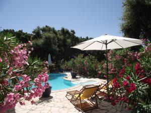 a pool with two chairs and an umbrella and flowers at Le Bastidon Saint-Michel in Sainte-Maxime