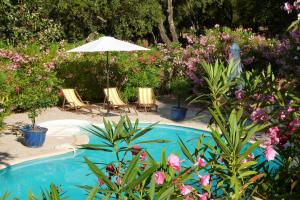 a pool with chairs and an umbrella and flowers at Le Bastidon Saint-Michel in Sainte-Maxime +13 photos