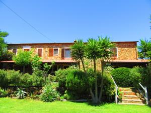 ein Haus mit einer Palme im Hof in der Unterkunft Agriturismo Serignano alle Rocchette in Castiglione della Pescaia