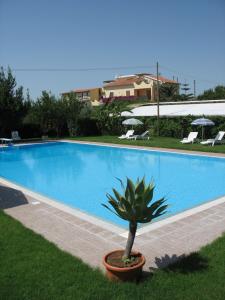 Πισίνα στο ή κοντά στο Agriturismo Montalbano