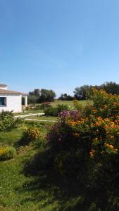 a field of flowers with a house in the background at Hotel Baia Cea in Bari Sardo