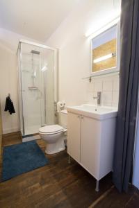 a bathroom with a toilet and a sink and a shower at Au 49 in Spa