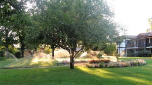 Photo de la galerie de l'établissement Auberge des Pins - Teritoria, à Sabres