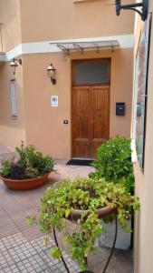 a group of potted plants in front of a door at Il Viale in Chieti