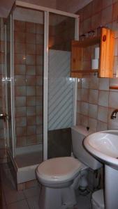 W łazience znajduje się toaleta, prysznic i umywalka. w obiekcie Hotel Franz w mieście Allos