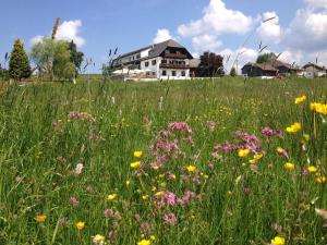 a field of flowers in front of a house at Forellenwirt in Grünbach