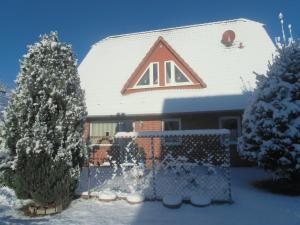 a house covered in snow with trees in front of it at Tor zum Darss in Pruchten