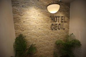 Gallery image of Hotel Cecil in Kolkata