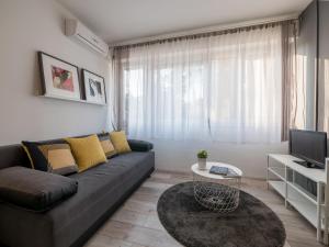 TV a/nebo společenská místnost v ubytování GIN apartman