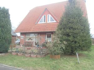 a house with a tree in front of it at Tor zum Darss in Pruchten