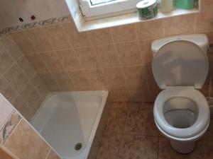 a bathroom with a toilet and a bath tub at Chata Oravská Priehrada in Námestovo