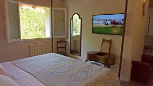 Телевізор і / або розважальний центр в Hotel David