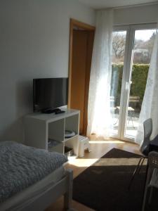 Schlafzimmer mit einem Bett, einem TV und einem Fenster in der Unterkunft City Apartment Tübingen-Lustnau in Tübingen