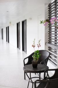 a black chair and a table with a plant on it at Kasemsarn Hotel Chanthaburi in Chanthaburi
