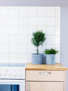 two potted plants sitting on top of a kitchen counter at Hotel Kockska Gården in Simrishamn