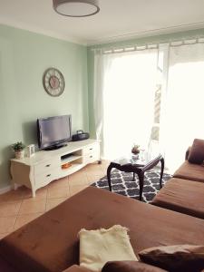 a living room with a couch and a tv at Ferienwohnung Hugo in Zempin