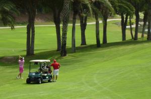 Golf pri apartmáne alebo okolí
