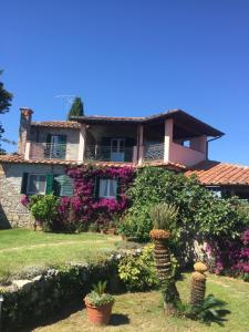 Zahrada ubytování B&B Le Palme