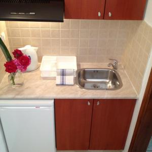 A kitchen or kitchenette at Angelica Studios and Apartments