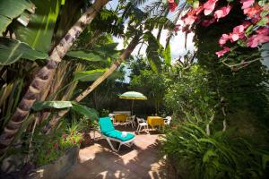 a patio with chairs and an umbrella in a garden at Hotel Villa Angelica in Ischia