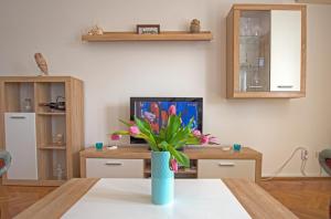 TV a/nebo společenská místnost v ubytování Apartment Marty