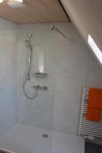 a shower with a glass door in a bathroom at Gasthof zur Post in Zwiefalten