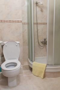a bathroom with a toilet and a shower at Kyiv apartment on Pavlovskaya street in Kyiv