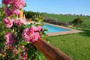 The swimming pool at or close to Tenuta Saracone