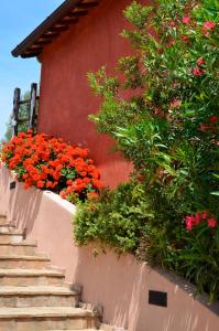 A garden outside Tenuta Saracone