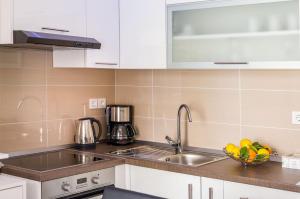 Kuchyň nebo kuchyňský kout v ubytování Apartment Miracool