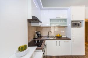 Kuchyň nebo kuchyňský kout v ubytování Apartment Miracool