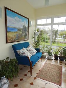 a living room with a blue couch and potted plants at Meadowfield in Ballyvaughan