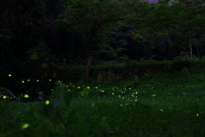 Gambar di galeri bagi Xiangyang Tianyuan di Sanyi