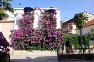 a bunch of purple flowers on a fence at Apartments J&R Babara in Biograd na Moru