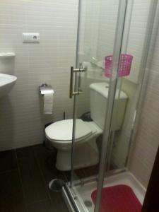 a bathroom with a toilet and a glass shower at Metro-Apartment RNAL nº35375 AL-Chamada para a rede móvel nacional in Porto