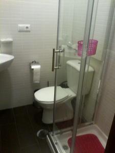 a bathroom with a white toilet and a sink at Metro-Apartment RNAL nº35375 AL-Chamada para a rede móvel nacional in Porto