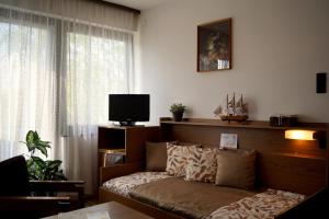 TV a/nebo společenská místnost v ubytování Sophie's Guesthouse
