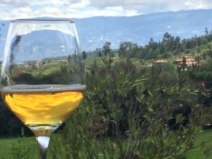 a glass of wine with a view of a field at Casas del Viento in Villa de Leyva
