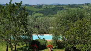 Piscina a Tognazzi Casa Vacanze - Villa San Martino o a prop