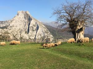 a herd of sheep grazing in a field with a tree at Casa Leny in La Vega