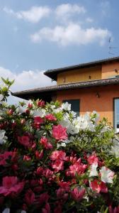 Zahrada ubytování B&B Belvedere