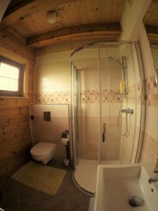 ein Bad mit einer Dusche und einem WC in der Unterkunft Roubenka U Třeboně in Domanín