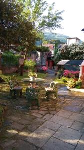 A garden outside Casa Orisca