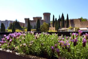 un giardino con fiori viola di fronte a un castello di Il Castello a Tivoli